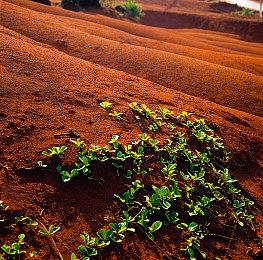 拉瑞安还在继续前进 《博德之门3》8号补丁越来越近了